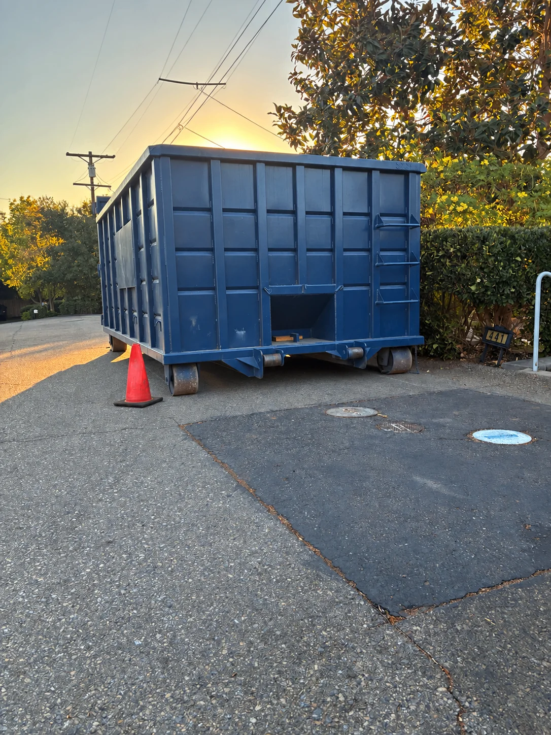 Blue roll-off dumpster positioned on a paved driveway beside trees